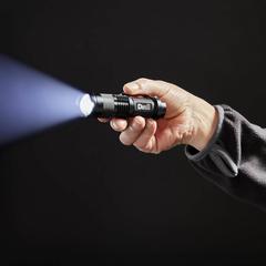 Diall LED Torch W/Battery (1 W, White)